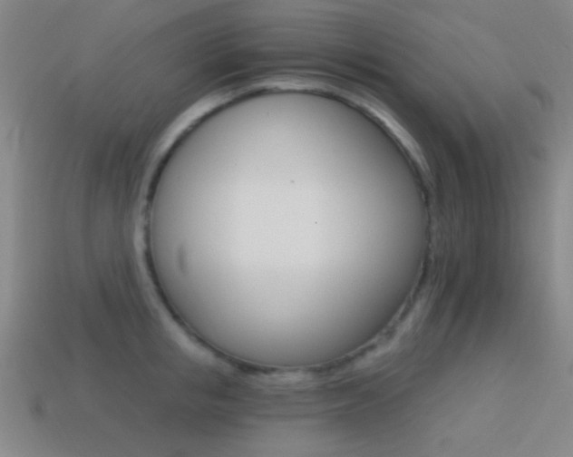 X0000114400853200910161313