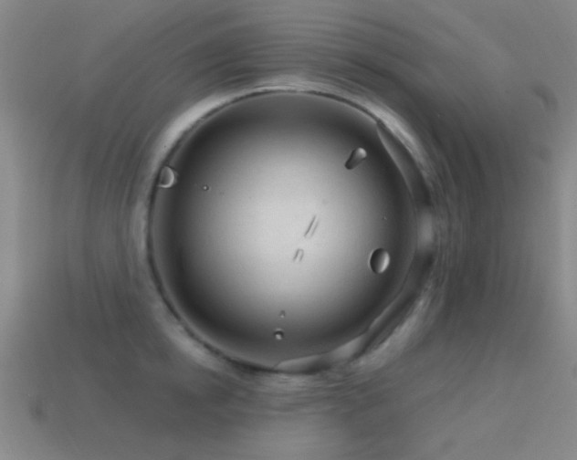 X0000114400854200910161313