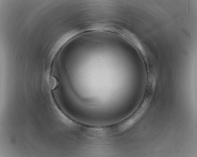 X0000114400855200910161313