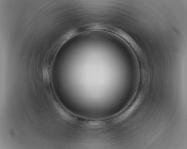 X0000114400857200910161313