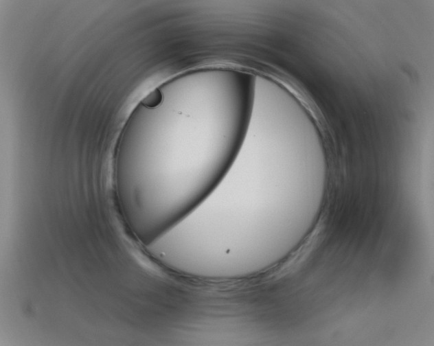 X0000114400858200910161313