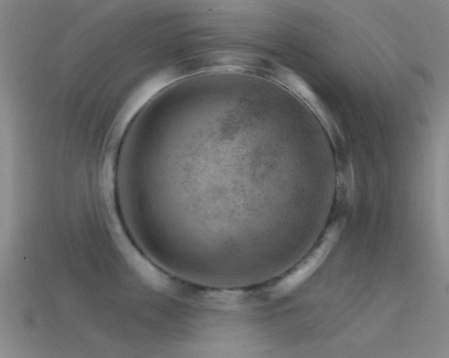 X0000114400859200910161313