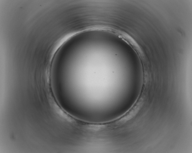 X0000114400860200910161314