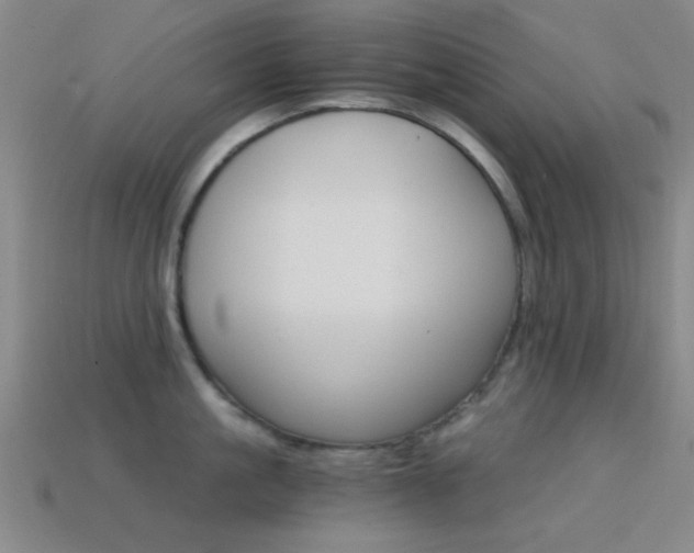 X0000114400861200910161314