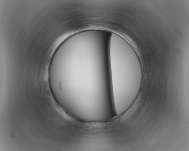 X0000114400862200910161314