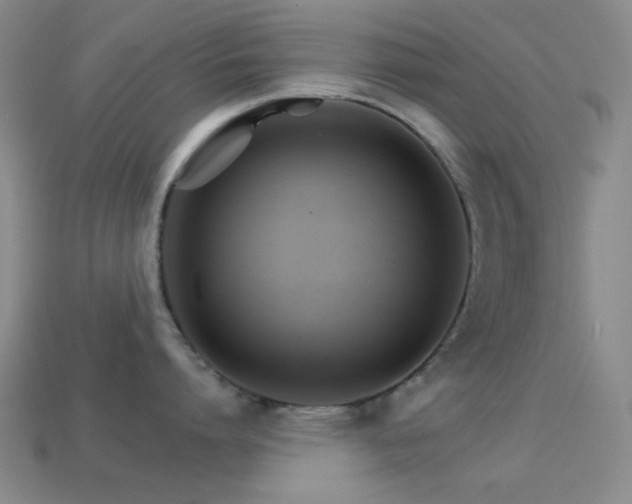 X0000114400864200910161314