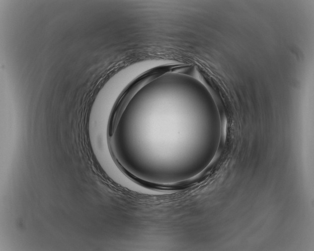 X0000114400865200910161313