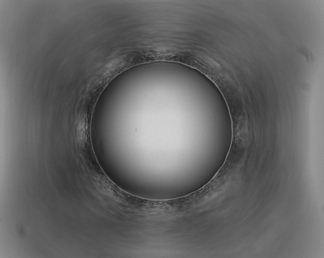 X0000114400866200910161313