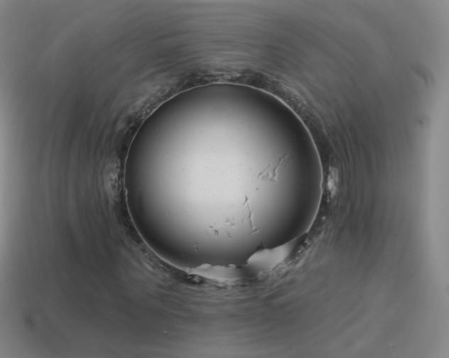 X0000114400867200910161313