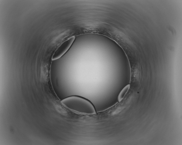 X0000114400868200910161313