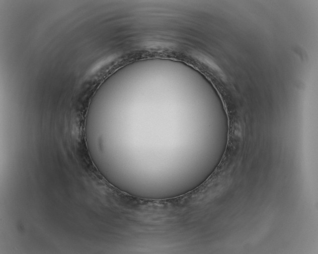 X0000114400869200910161313