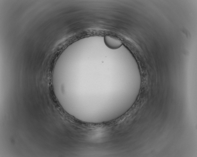 X0000114400870200910161313