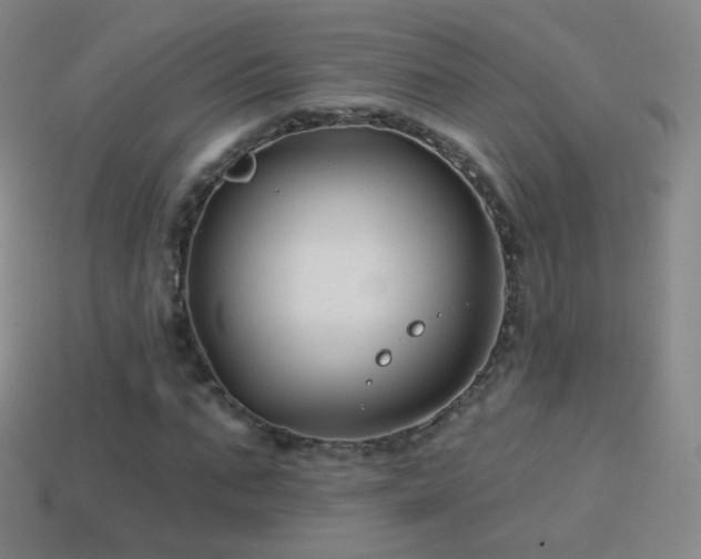 X0000114400871200910161313