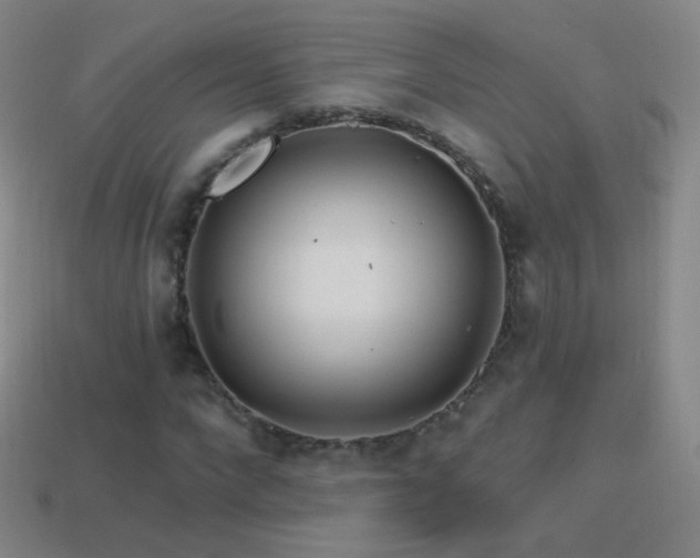 X0000114400872200910161313