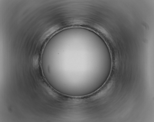 X0000114400873200910161313