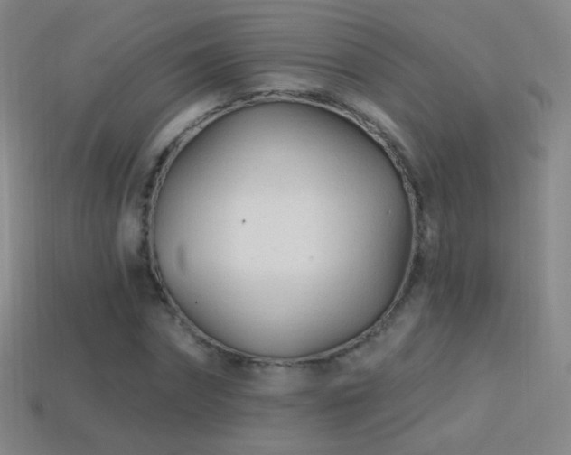 X0000114400874200910161313