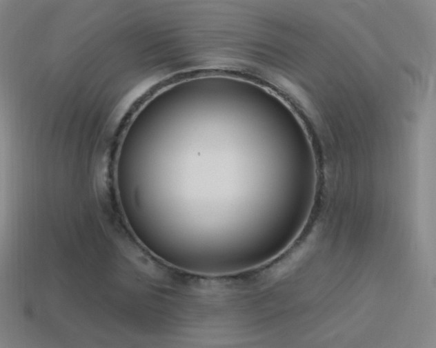 X0000114400875200910161313