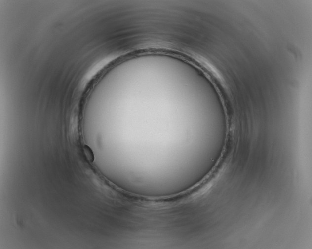 X0000114400877200910161313