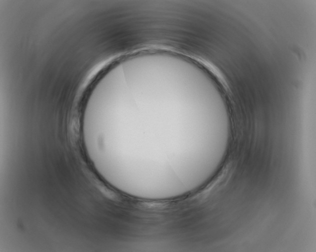 X0000114400878200910161313