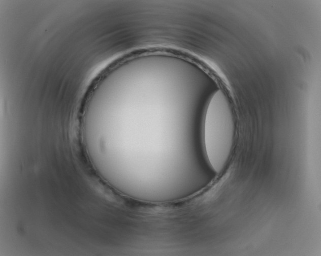 X0000114400879200910161313