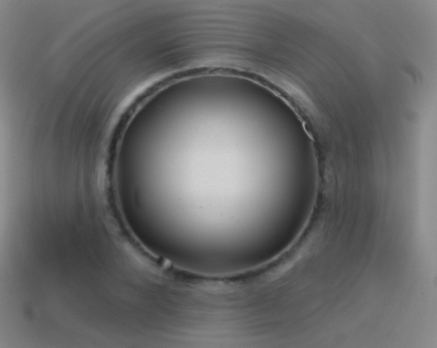 X0000114400880200910161313