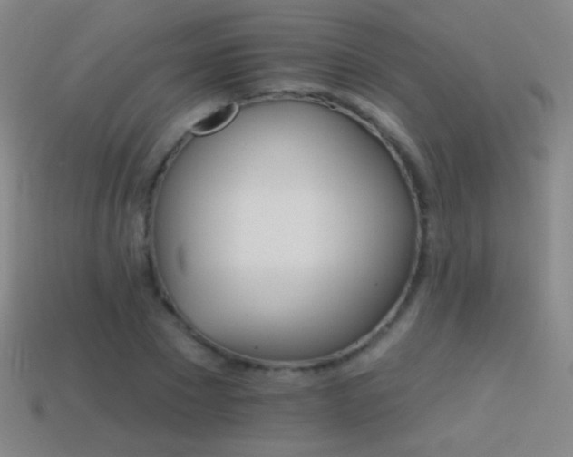 X0000114400881200910161313