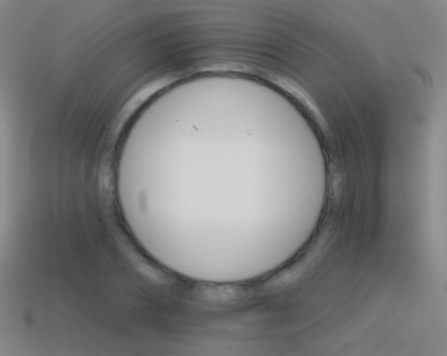 X0000114400882200910161313