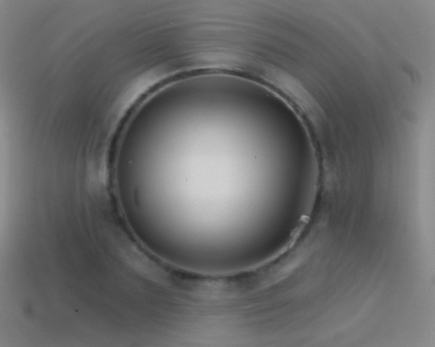 X0000114400883200910161313