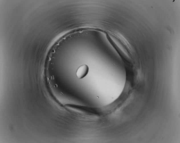 X0000114400884200910161313