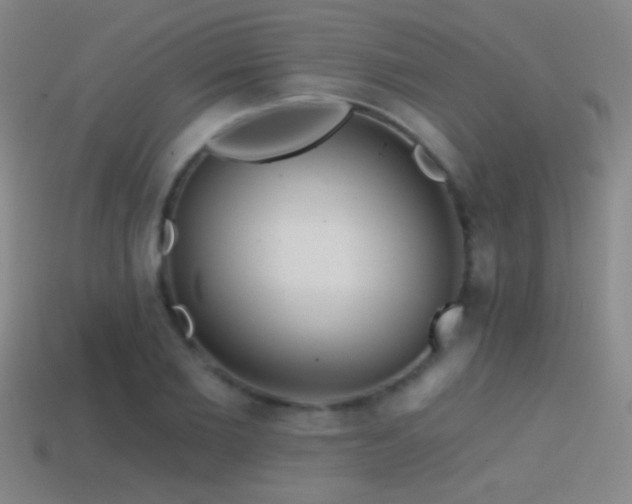 X0000114400885200910161313