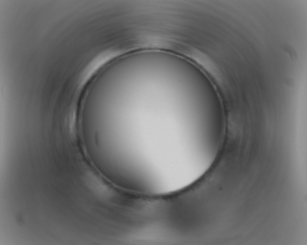 X0000114400886200910161313