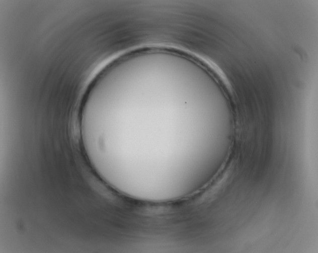 X0000114400887200910161313