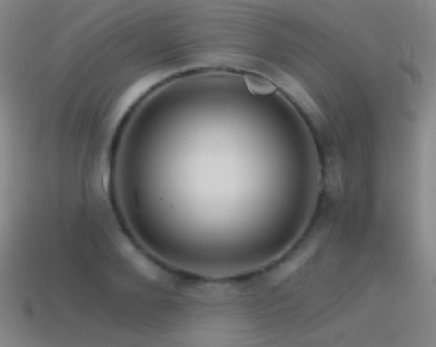 X0000114400888200910161313