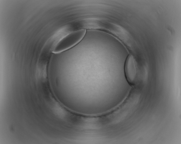 X0000114400889200910161313