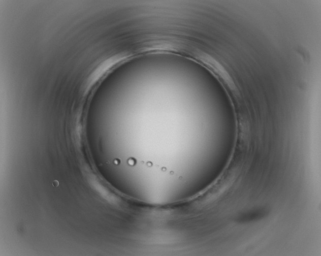 X0000114400890200910161313