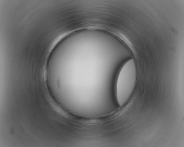 X0000114400891200910161313