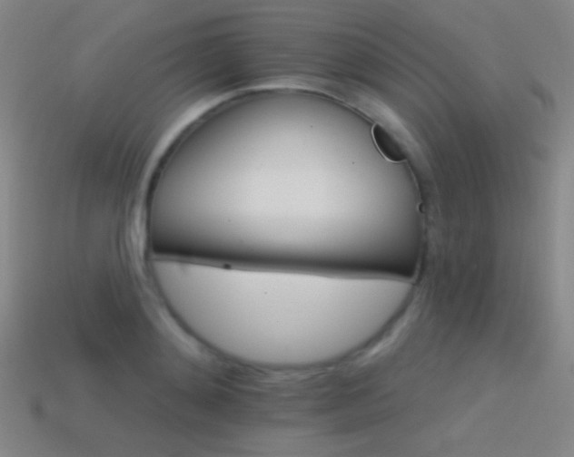 X0000114400892200910161313