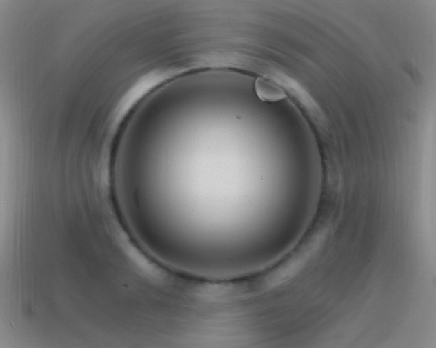 X0000114400894200910161313