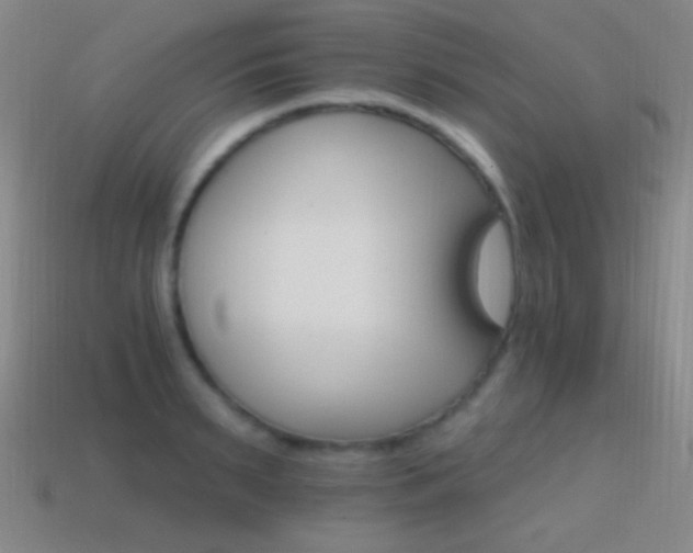 X0000114400895200910161313