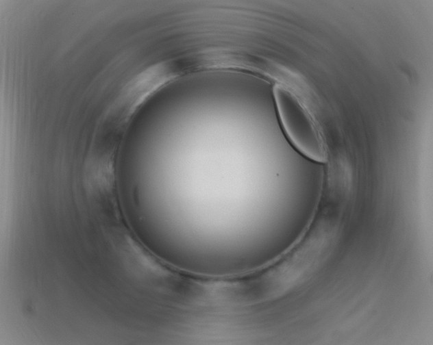 X0000114400897200910161313