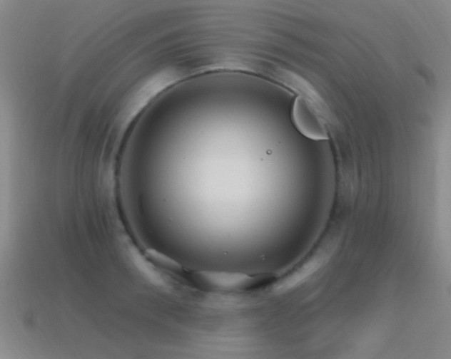 X0000114400898200910161313