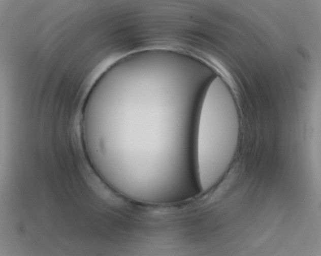 X0000114400899200910161313