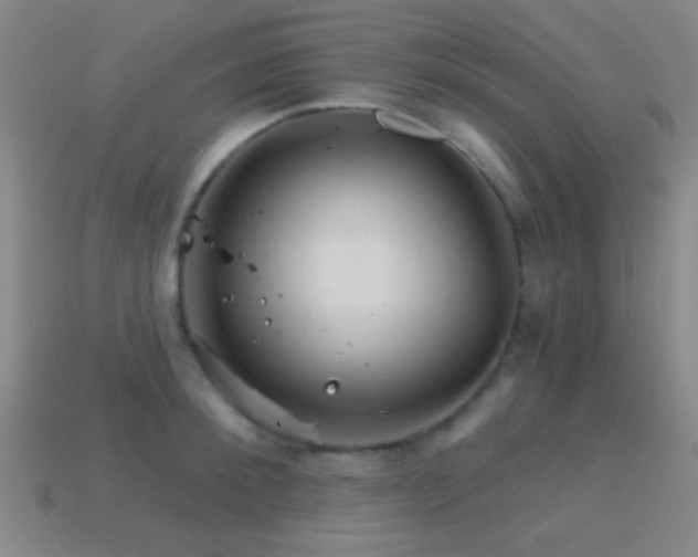 X0000114400900200910161312