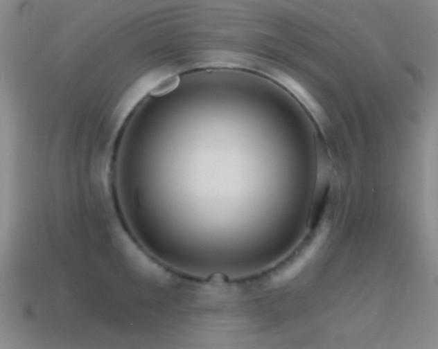 X0000114400901200910161312