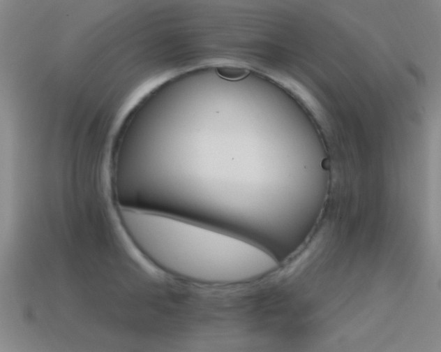 X0000114400902200910161312