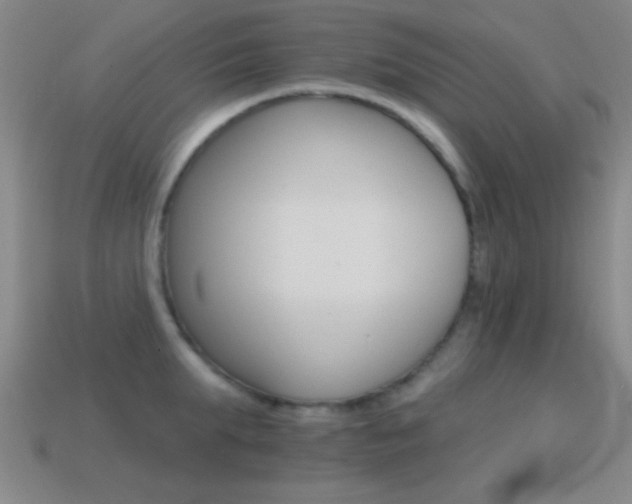 X0000114400903200910161312