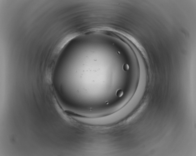 X0000114400905200910161312