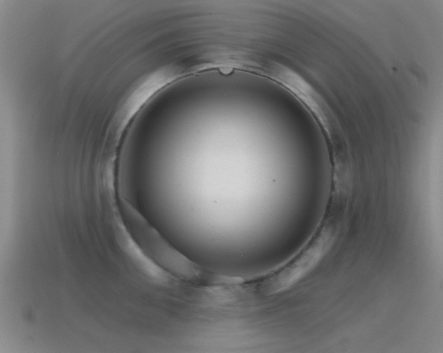 X0000114400906200910161312