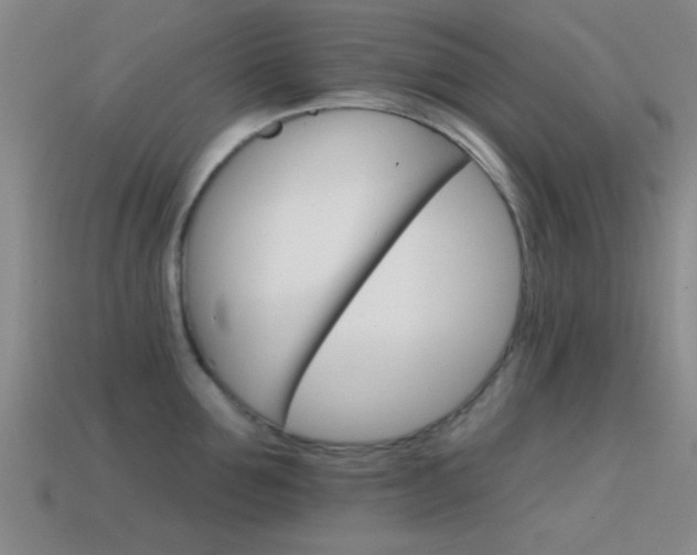 X0000114400907200910161312