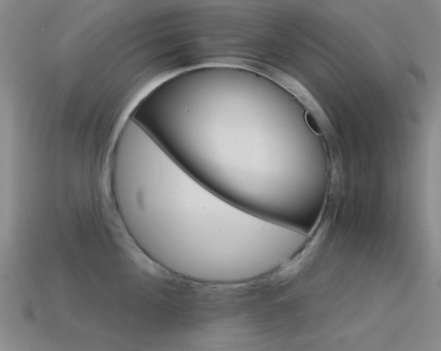 X0000114400908200910161312